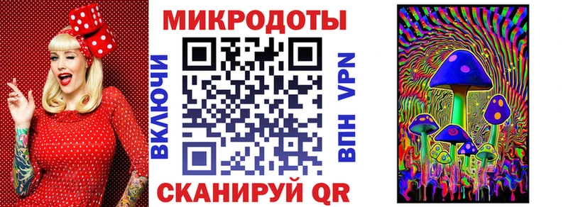 даркнет как зайти  что такое   Зубцов  Галлюциногенные грибы Psilocybe 
