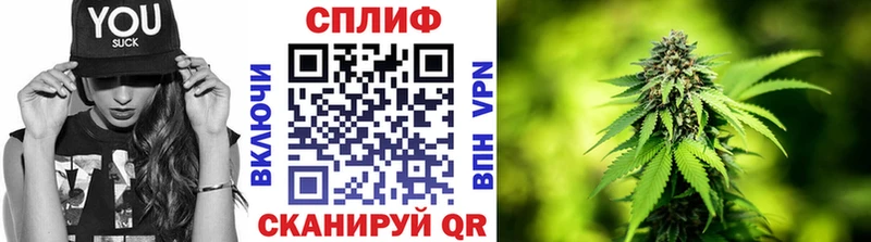 где купить наркоту  Зубцов  Шишки марихуана MAZAR 